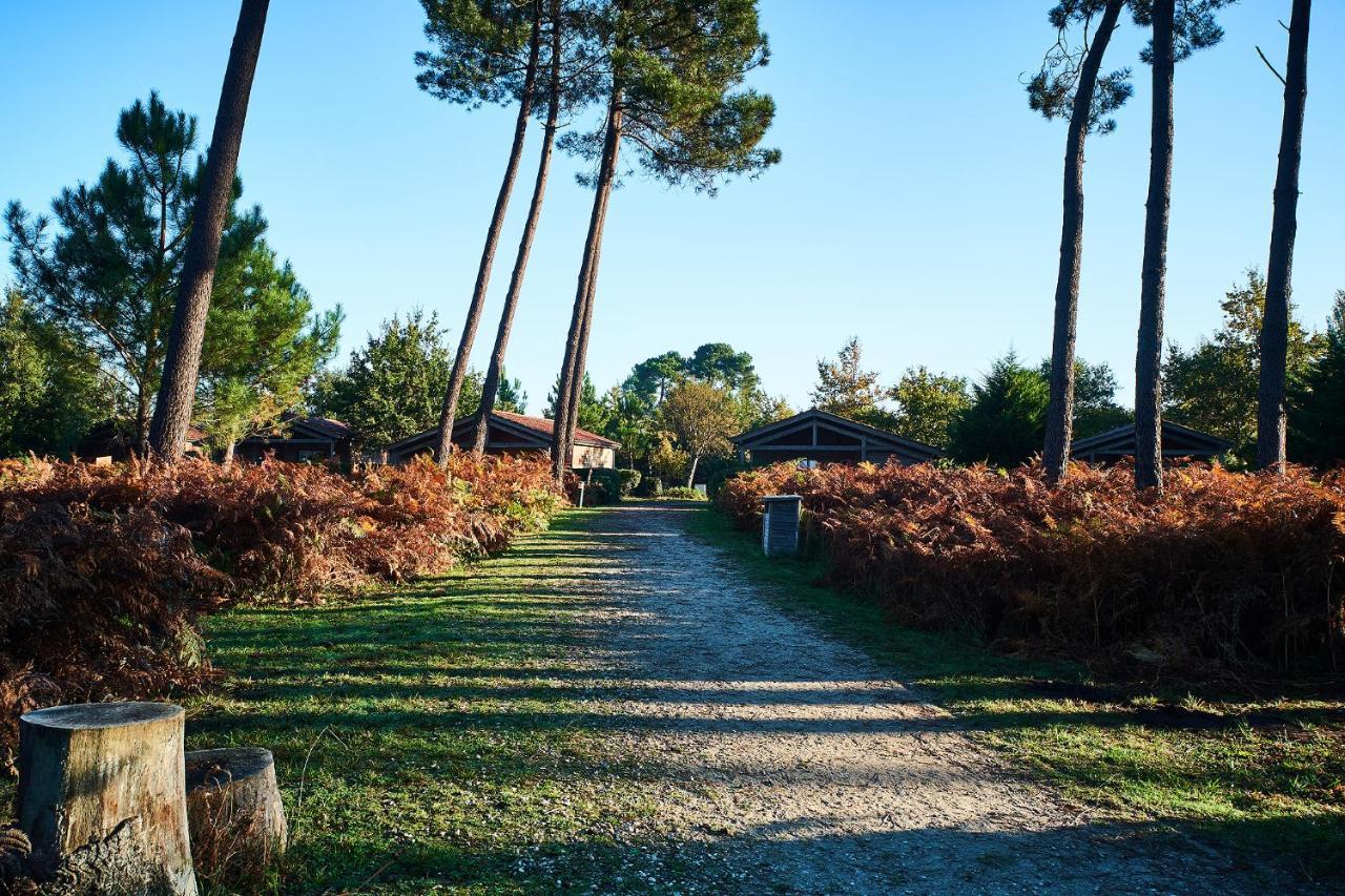 Les Cottages Du Lac Parentis-en-Born Buitenkant foto
